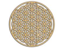 Mandala 49 Flor da Vida